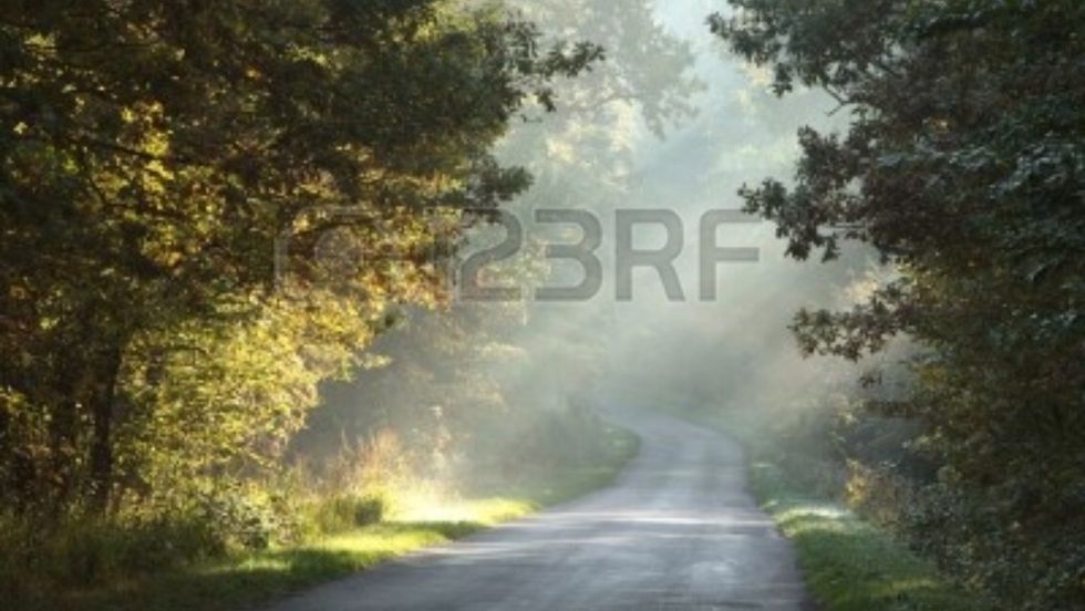 Go for a nature walk !! ( in a park or garden ) have peace