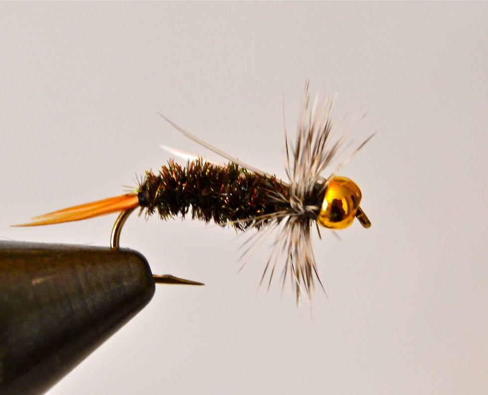 Go out and catch some nice trout! :/)