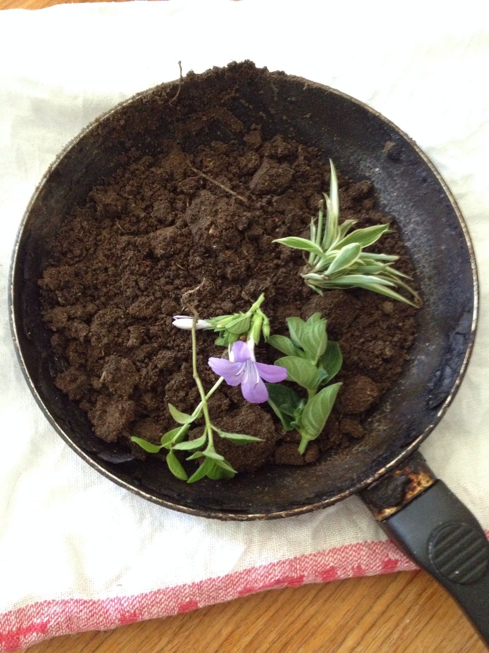 Go out and collect some soil/sand and small plants or tufts of grass etc..