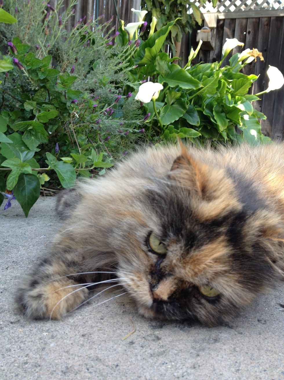 Go outside and enjoy nature ...