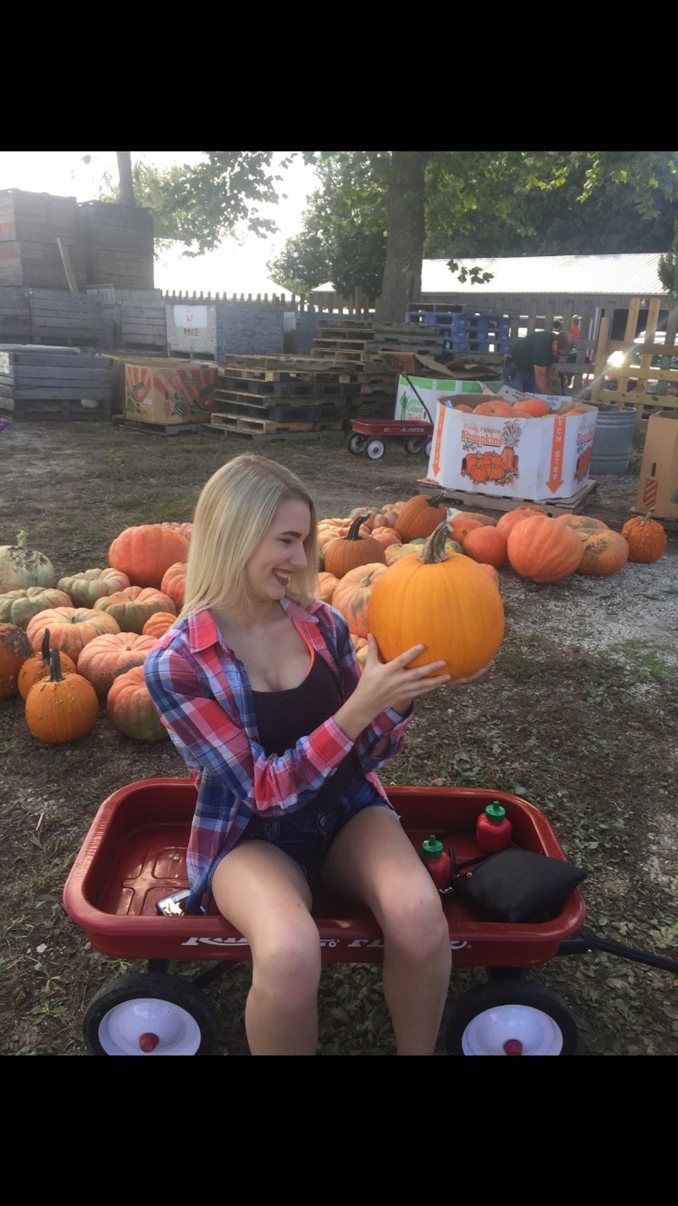 Go to a pumpkin patch and pick out your perfect pumpkin