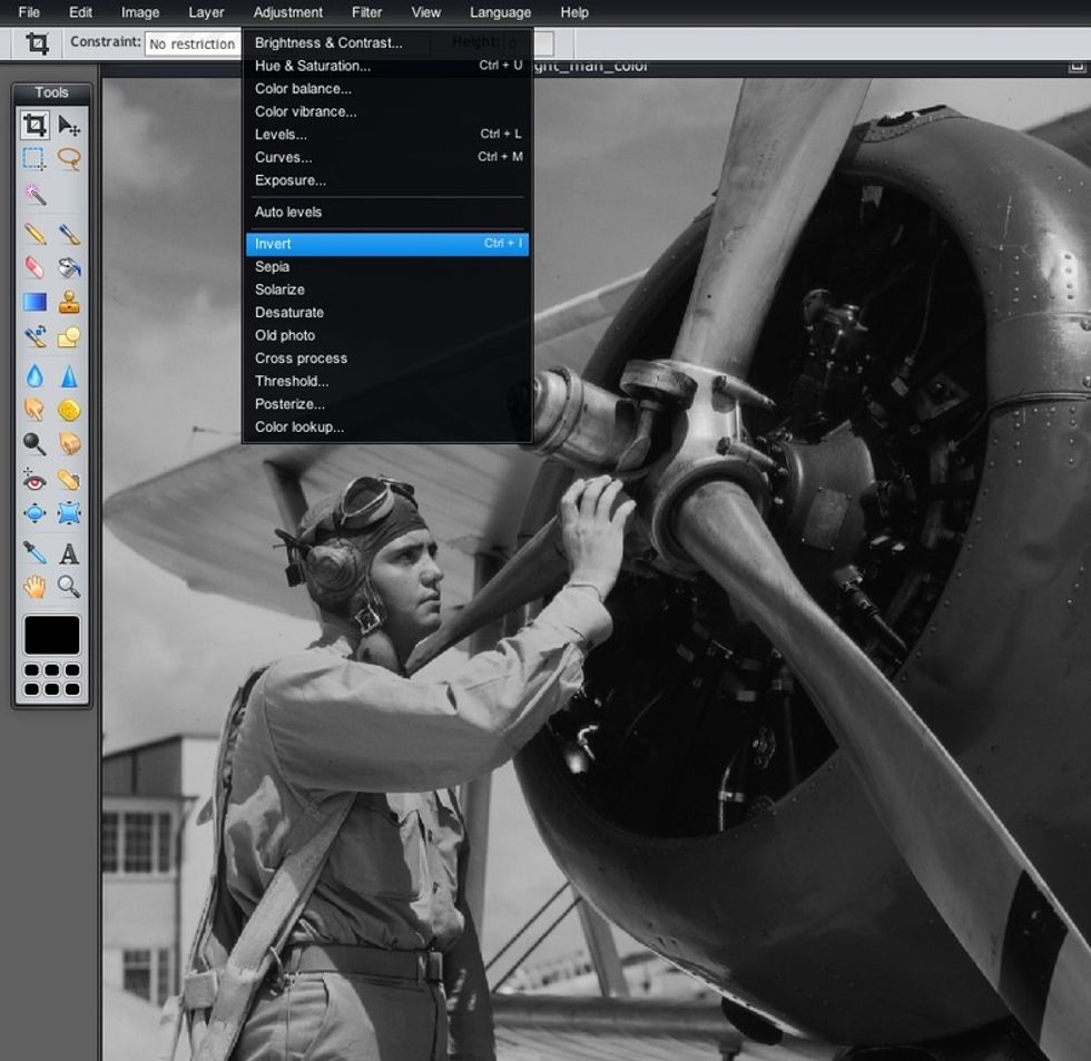 Go to "Adjustment" again and this time select "Invert". This will turn your black and white image into a digital negative.
