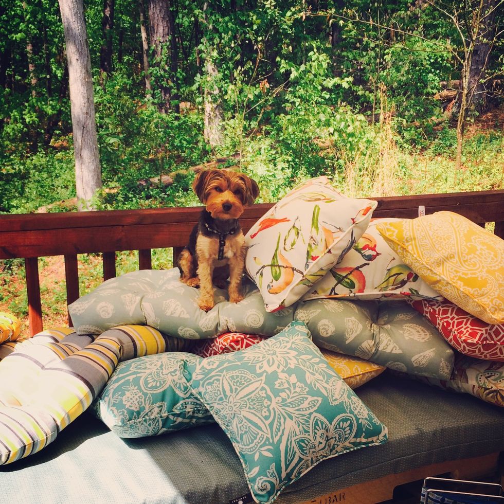 Go to HomeGoods or Pier 1 or other local decor stores and find some good deals on outdoor pillows. Get a bunch of those; I used 8 square and 4 long pillows