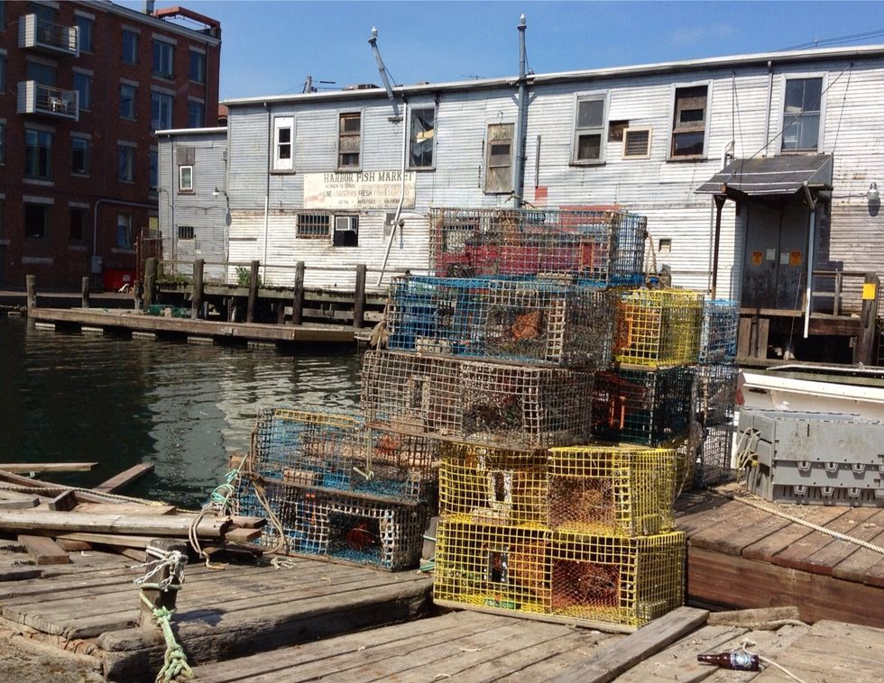 Go to Maine for fresh lobster off the boat.