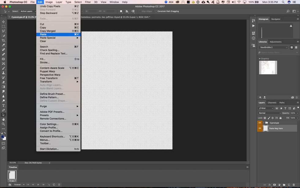 Go to the Edit menu and click on paste or hit command + V on the keyboard.