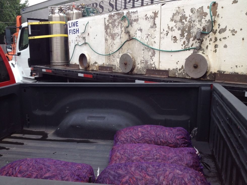 Go to your seafood market to make the purchase of the live crawfish. Each sack weighs 35lbs and there should be a lot of movement within the sacks... That means they are fresh and that is important!