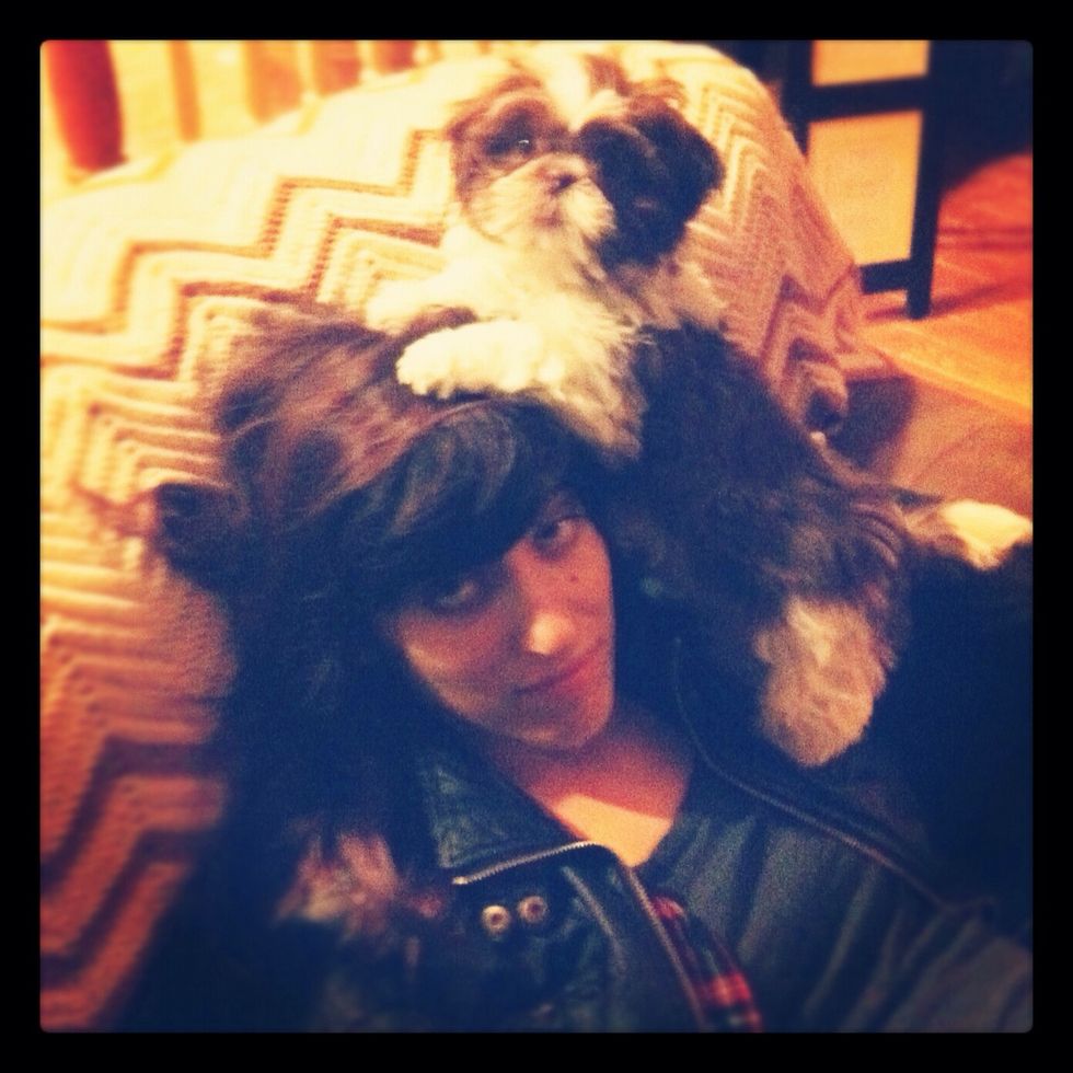 Good luck to you and your pup! Charlie was quite the little rascal, remember patience and positive reinforcement is key!