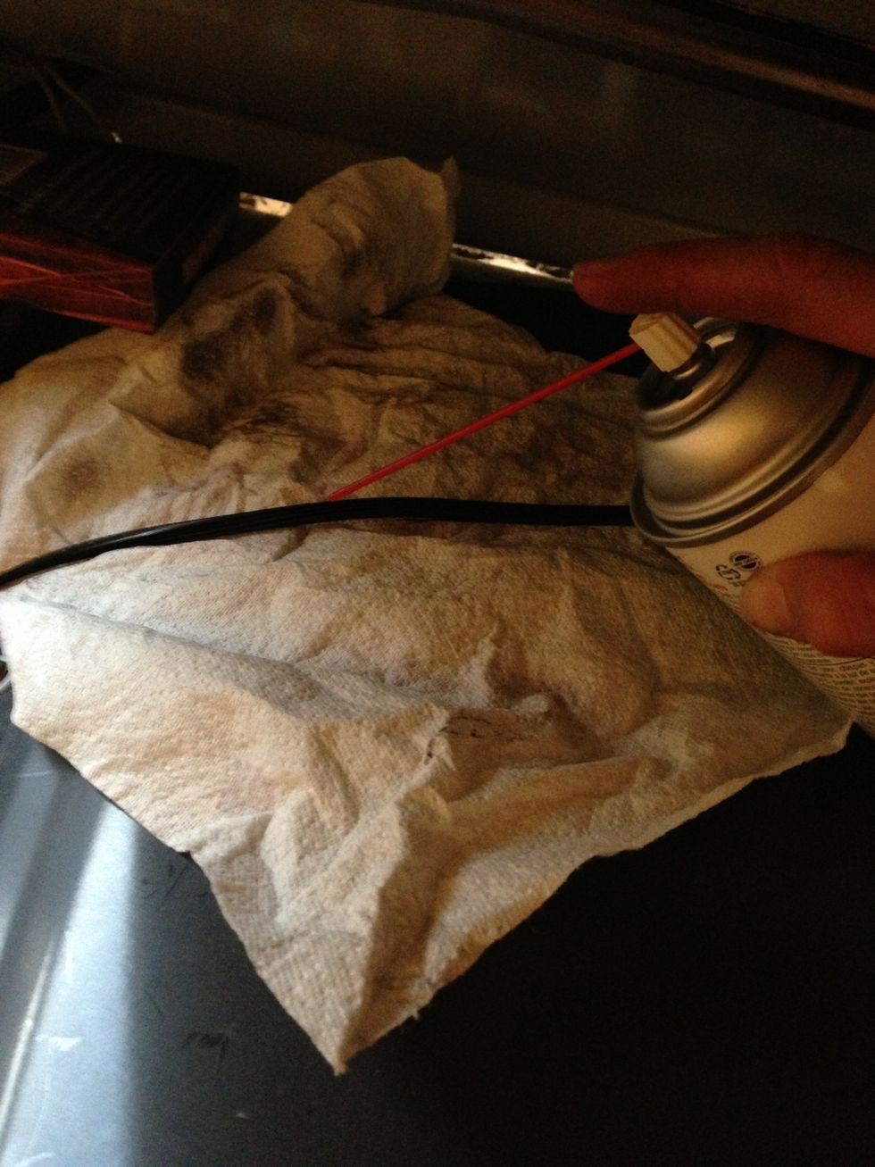 Google told me that the belt slipping on the drum might also be causing a squeak so I sprayed belt dressing on the underside of the belt. I used a paper towel to protect the surface of the drum.