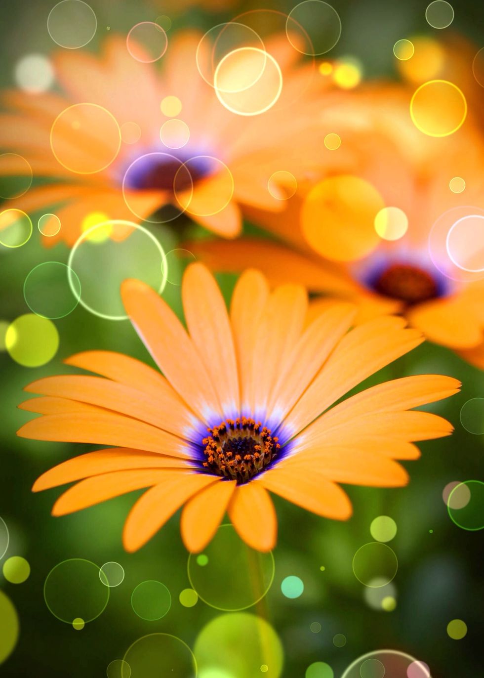 Gotta love the flares. This is a little overdone IMO but I wanted to show what could be done.