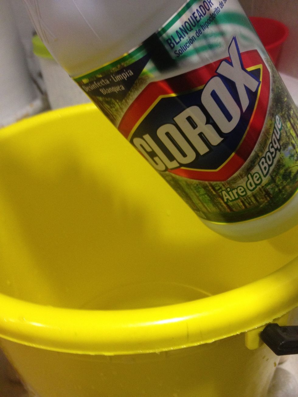 Grab a bucket, pour water, chlorine, put in the stones and let rest for a day, so that the chlorine kills all the bacteria and mildew.