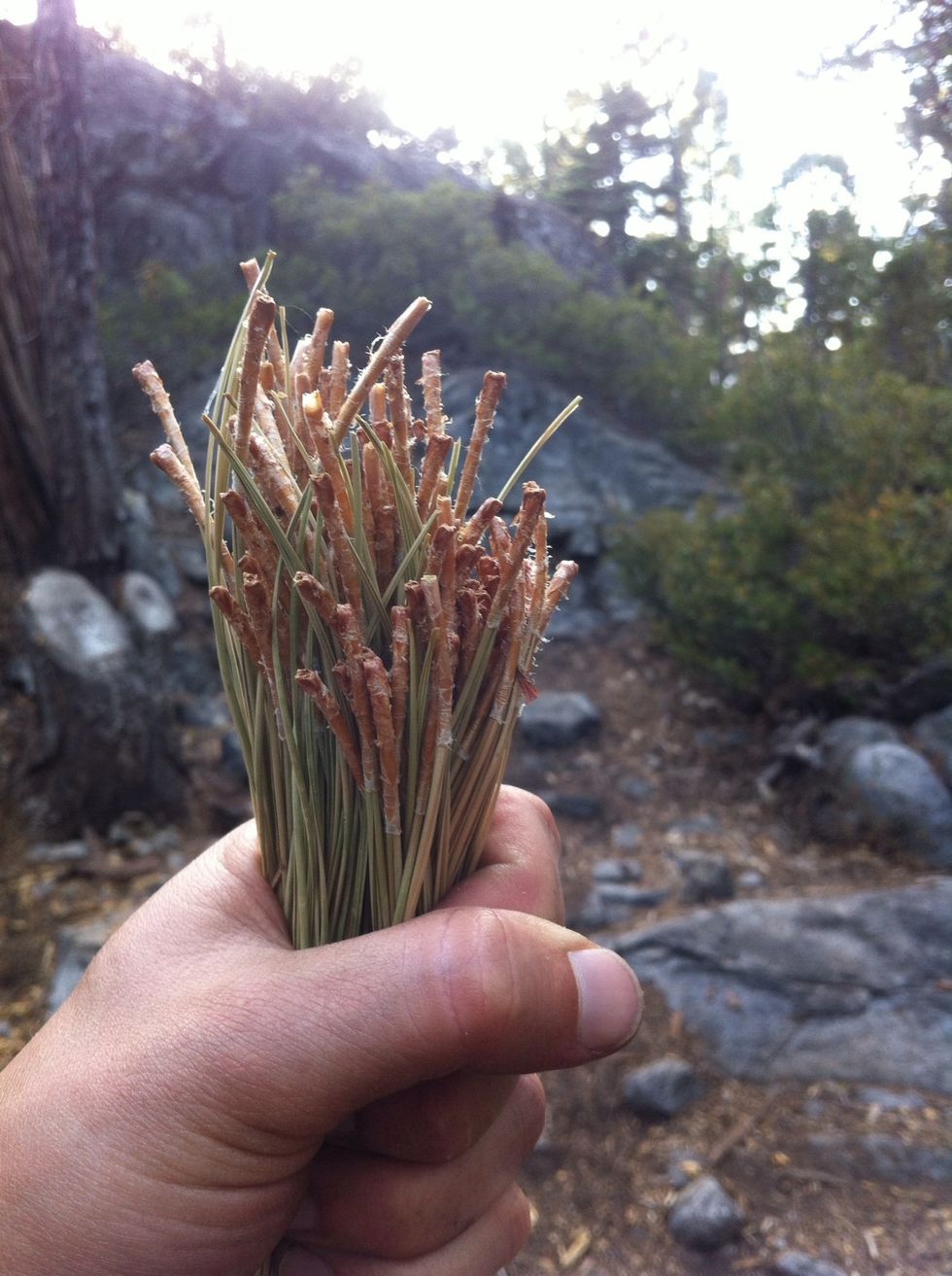 grab a handful of dry pine needles or very thin wood shavings.