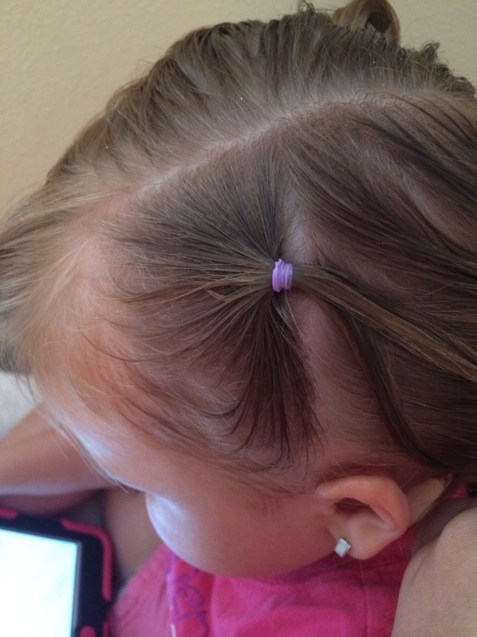 Grab a small piece of hair and tie it with a rubber band