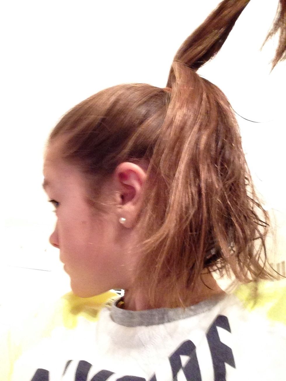 Grab a small section from the top of the pony
