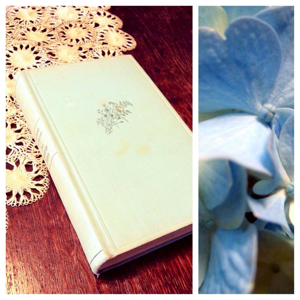 Grab any old book you can find (or any book you like)