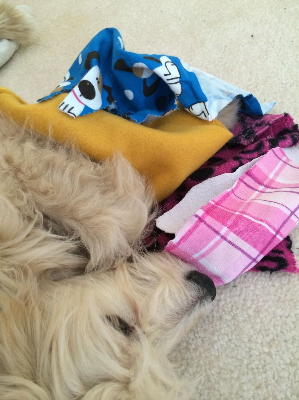 Grab some fabric scraps, any type works! Thicker works the best, however. A fleece, sweatpant-type, or similar.