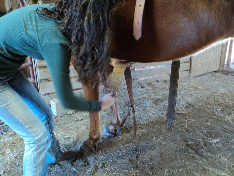 Grab the girth from the left side of the horse, and tighten it first, encase the horse spooks and bucks, the saddle will stay on the horse, and not hurt the horse.