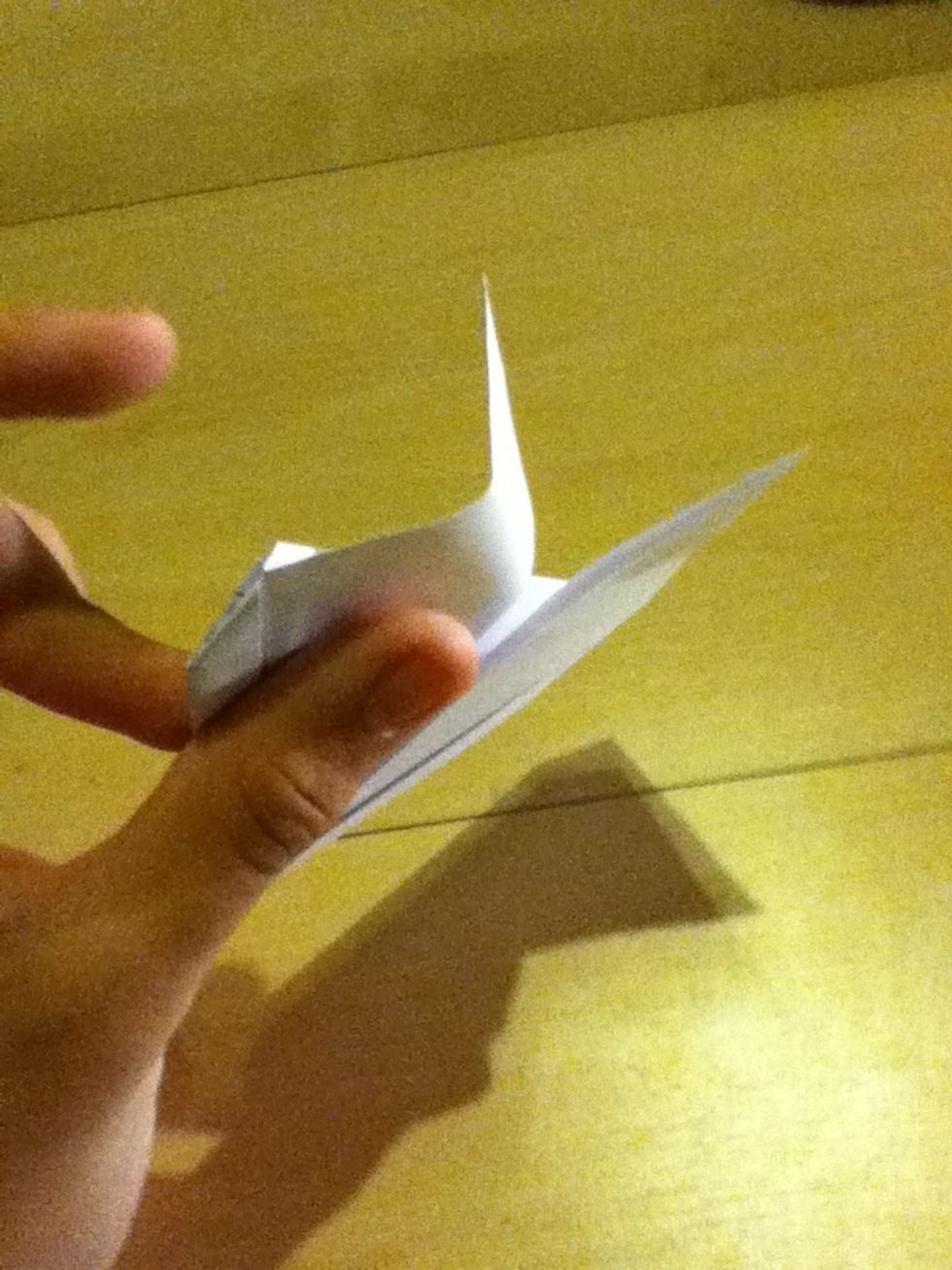 Grab the top of the heart and fold both diagonally
