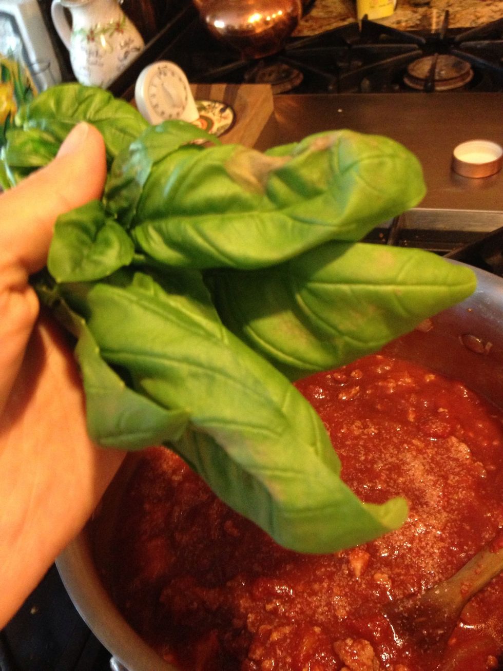 Grab your clump of basil!