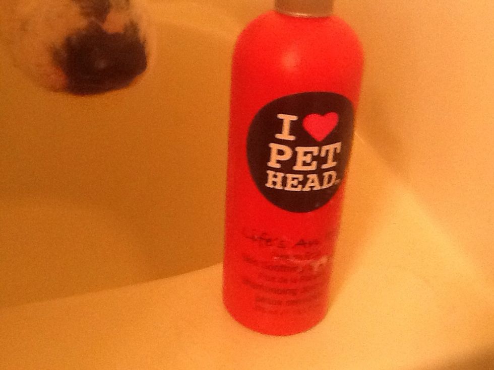 Grab your dog shampoo, but keep one hand on the mutt or he might jump out!