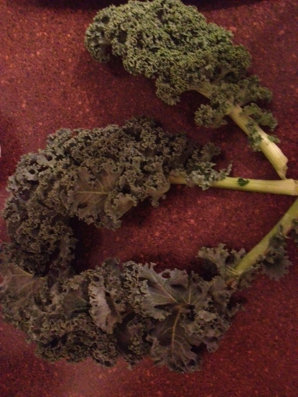 Grab your fresh Kale, enough to fill 2 cups when broken into chips (it will SHRINK UP when baked).
