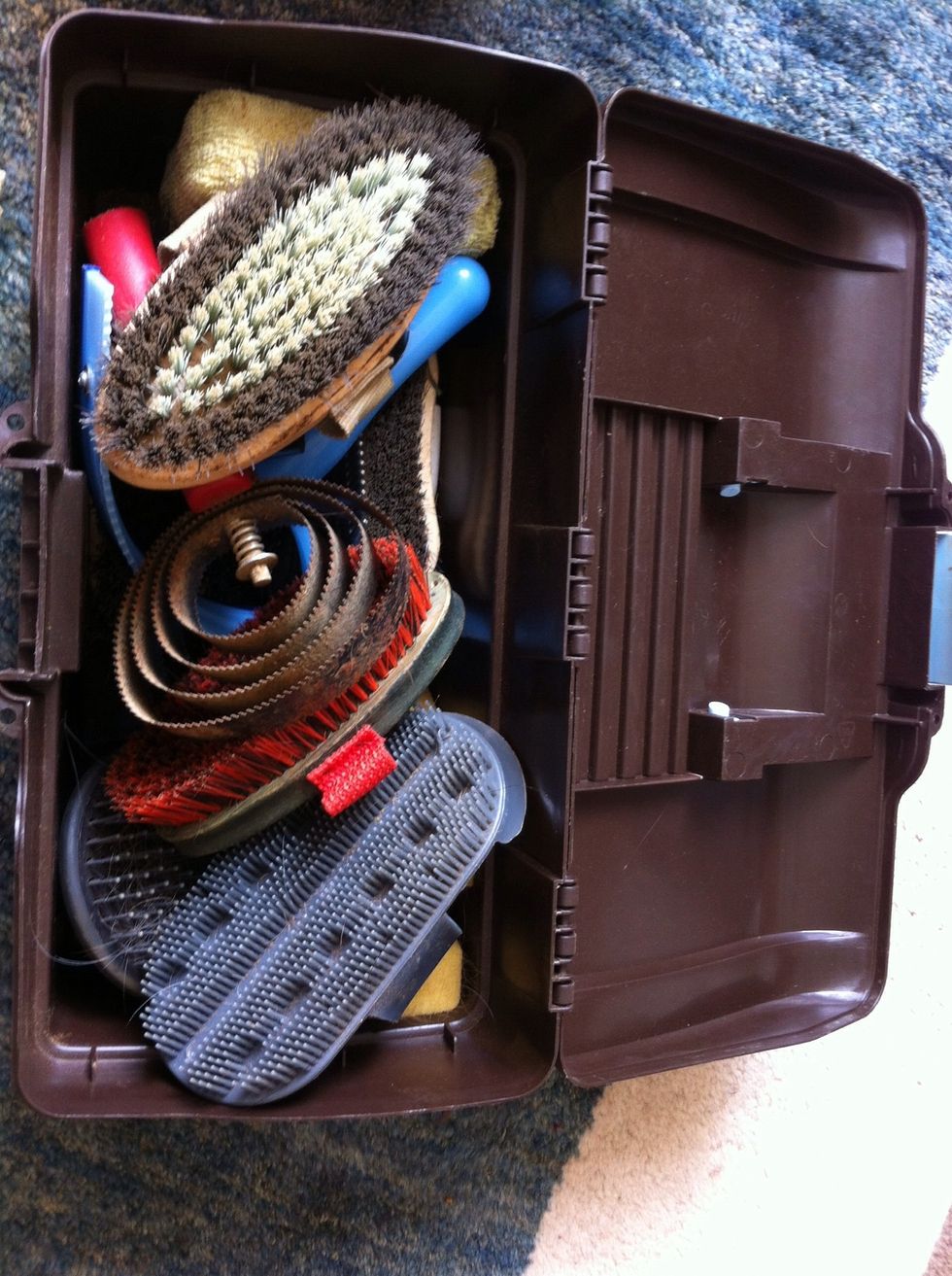 Grab your horrid dirty brushes and get some lukewarm water with persil (or whatever you have) in it