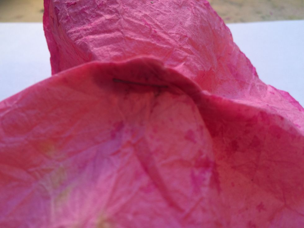 Grab your stapler, still holding the filters together at the bottom from the previous step, and staple the gathered point.