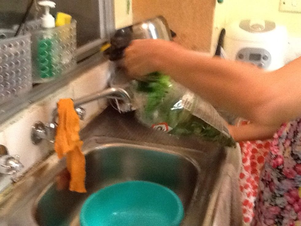 Grabs some Spinich, Lettuce or Cabbage and rinse ( OPTIONAL )