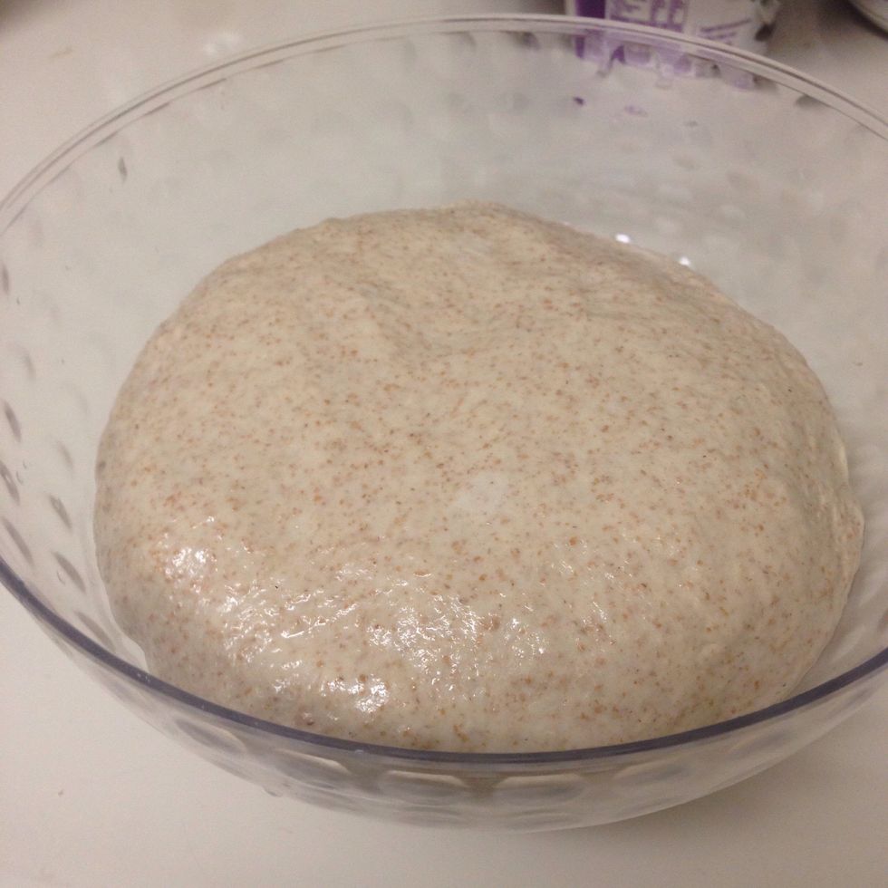Grease a bowl with oil and place the dough in.
