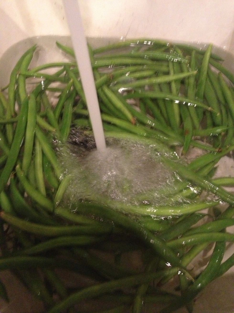 Green beans should be washed to remove dirt and grit.