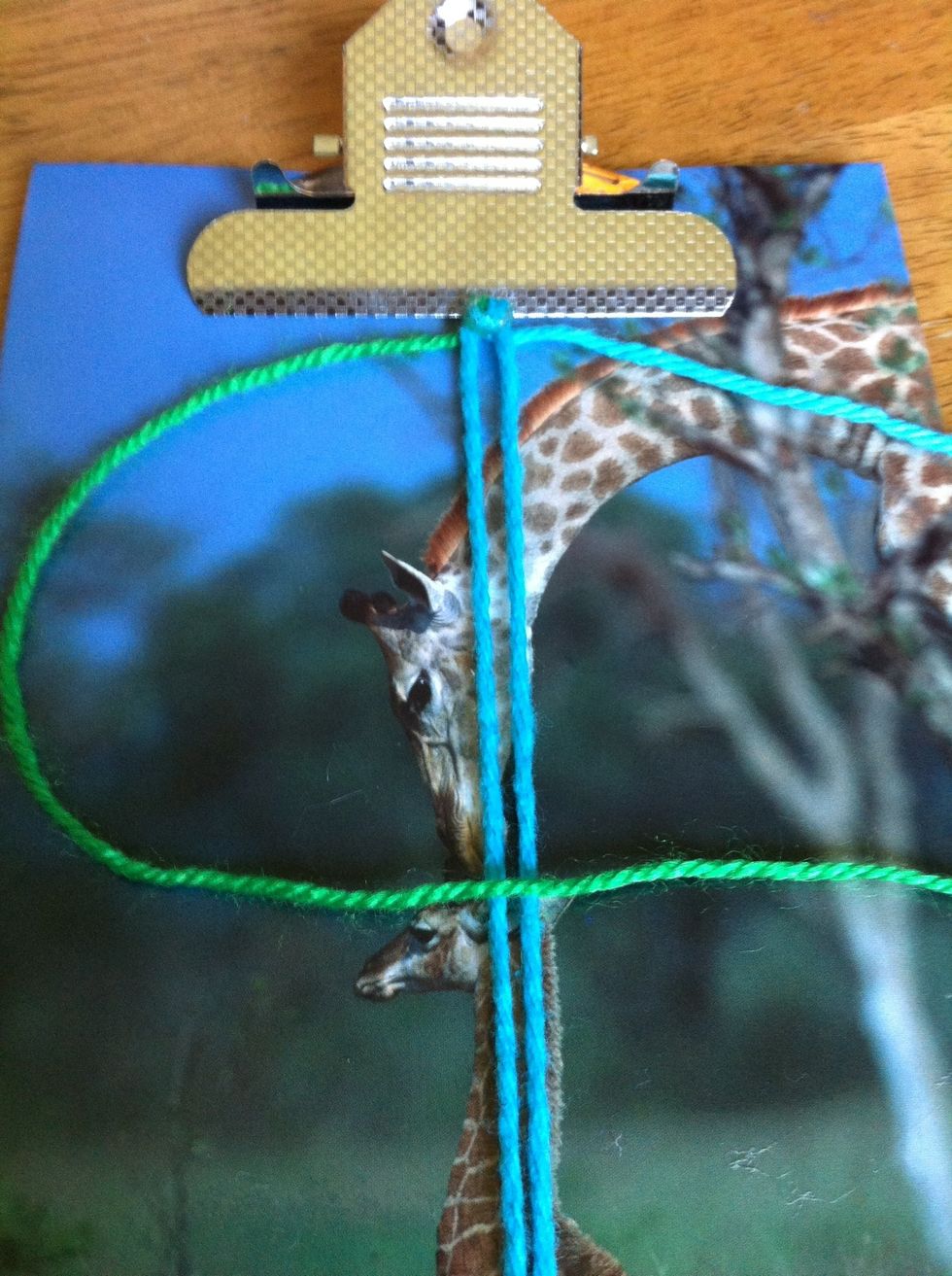 Green = Inside Portion(1)-Blue = Outside Portion(2). You will always be working with the inside yarn first. Loop 1 creating a C form.