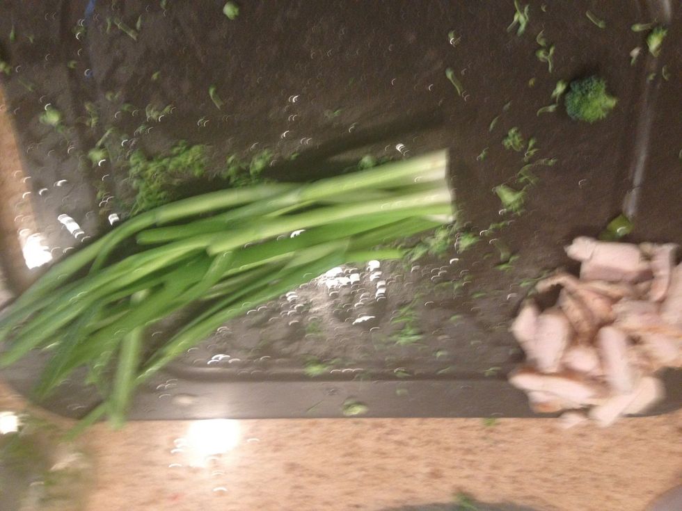 Green onion found in the back of the veggie keeper- not too bad looking..