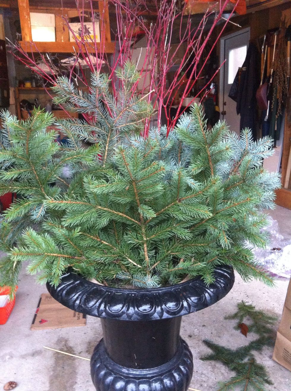 Green Spruce next. It's filling up nicely. You want it snug so there are no gaps.