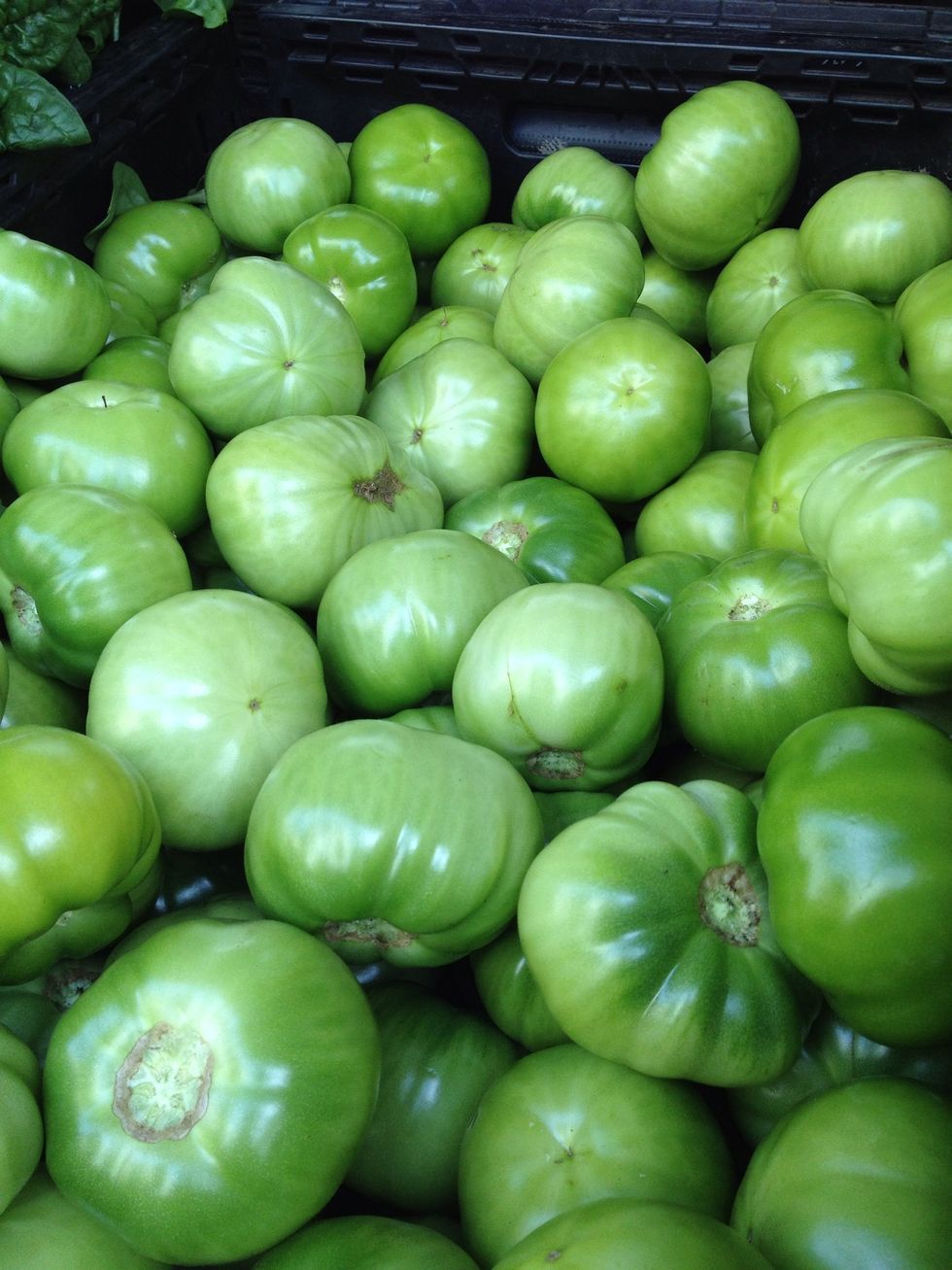 Green tomatoes..