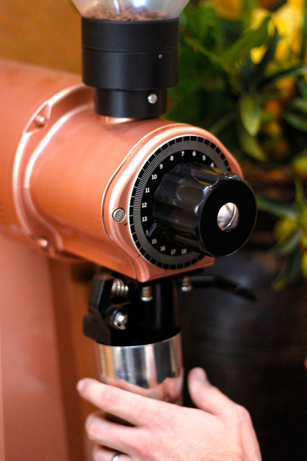 Grind on a medium-fine grind.