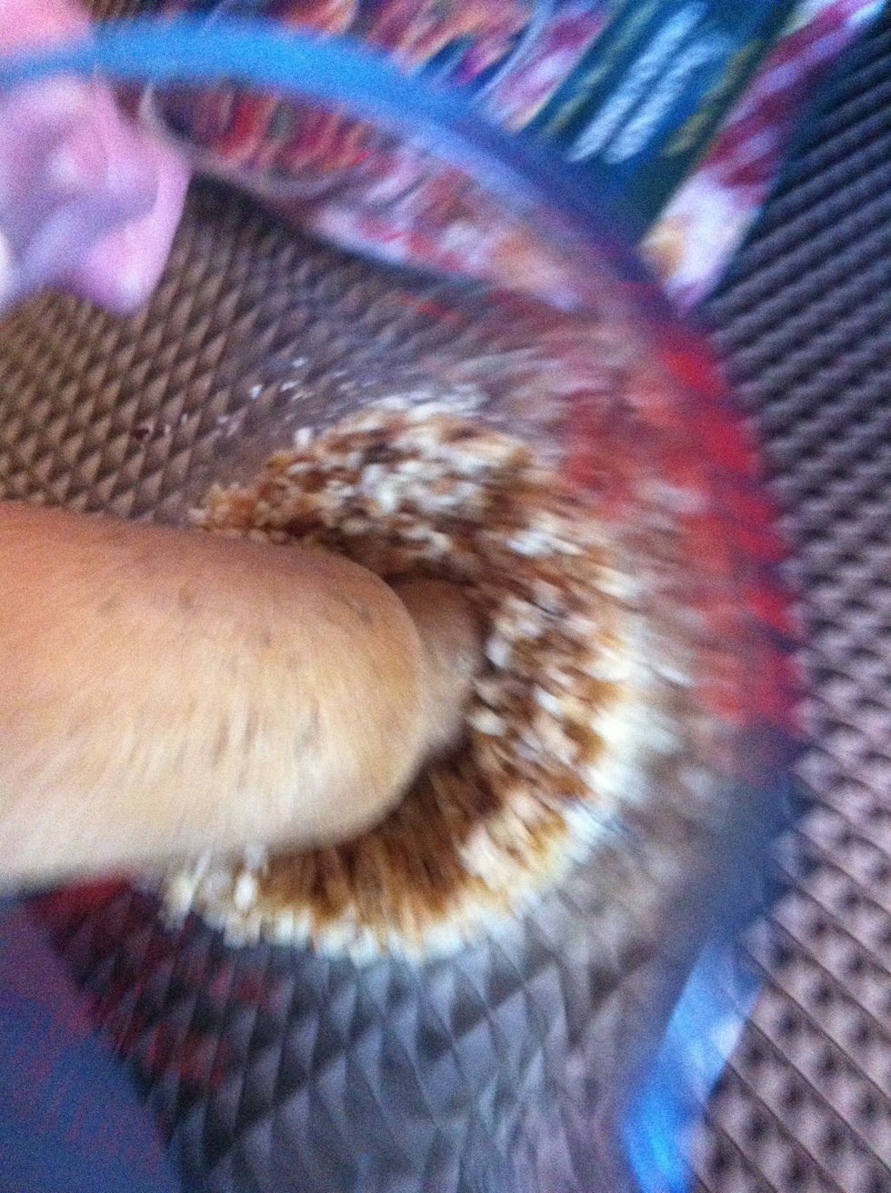 Grind up your almonds.