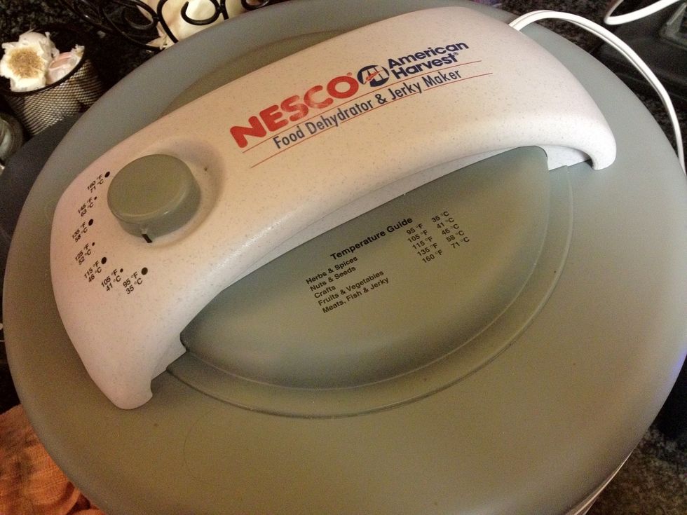 Guide says highest temp for Beef Jerky. I do LOWEST temp for six hours or so.