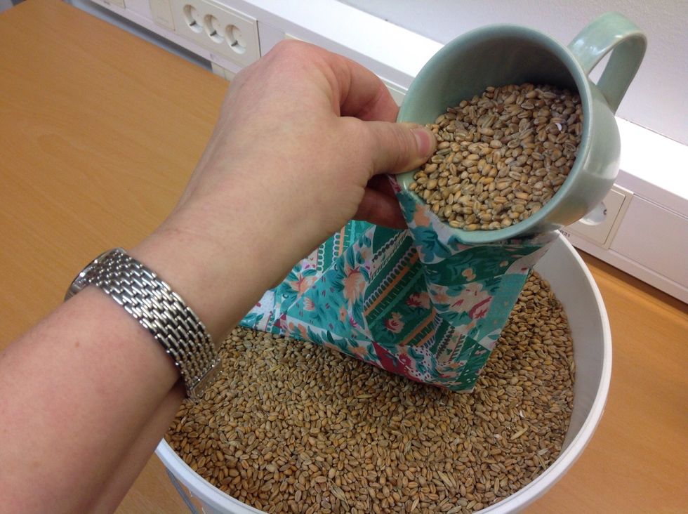 Ha tygbiten i hinken och fyll f\u00f6rsiktigt i vetekornen.