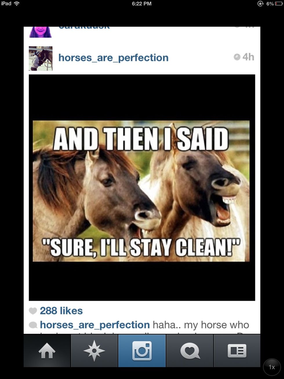 Haha. Your horse might not stay clean for long. But he/she will look pretty and feel good while it lasts! :) Hope you enjoyed this guide. Please follow!    - Emma xx
