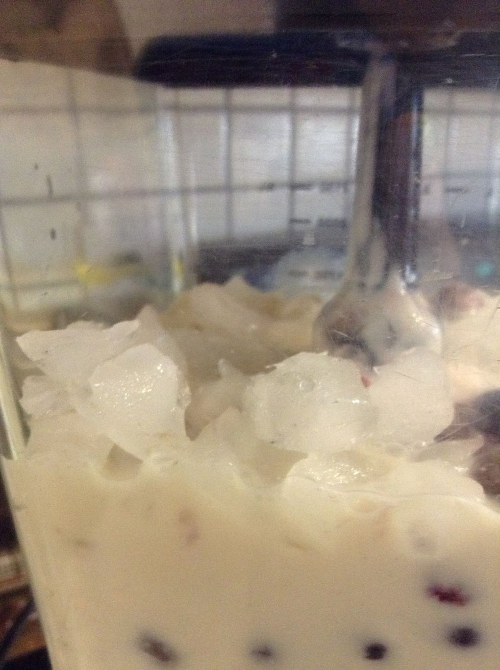 Half cup of crushed ice