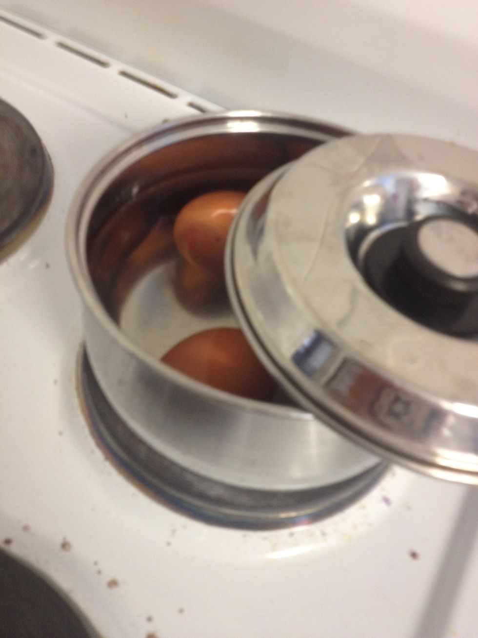 Half fill a small pot with water. Put your eggs in then put it on the stove.