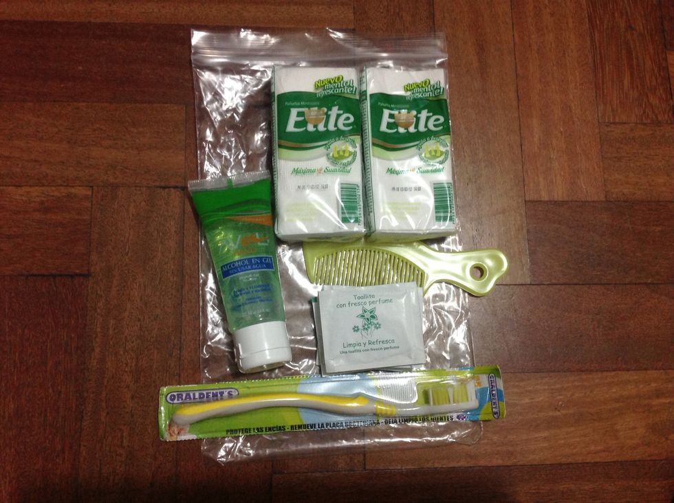 Hand sanitizer, wet wipes, comb, toothbrush, tissues.