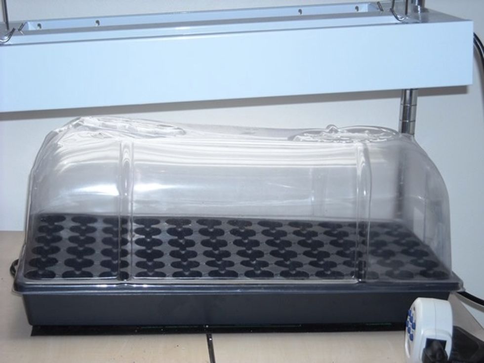 Hang a fluorescent light or a grow lamp no more than 4 inches away from the top of the containers. You don't need to turn this light on until the peppers push through the soil (germinate).