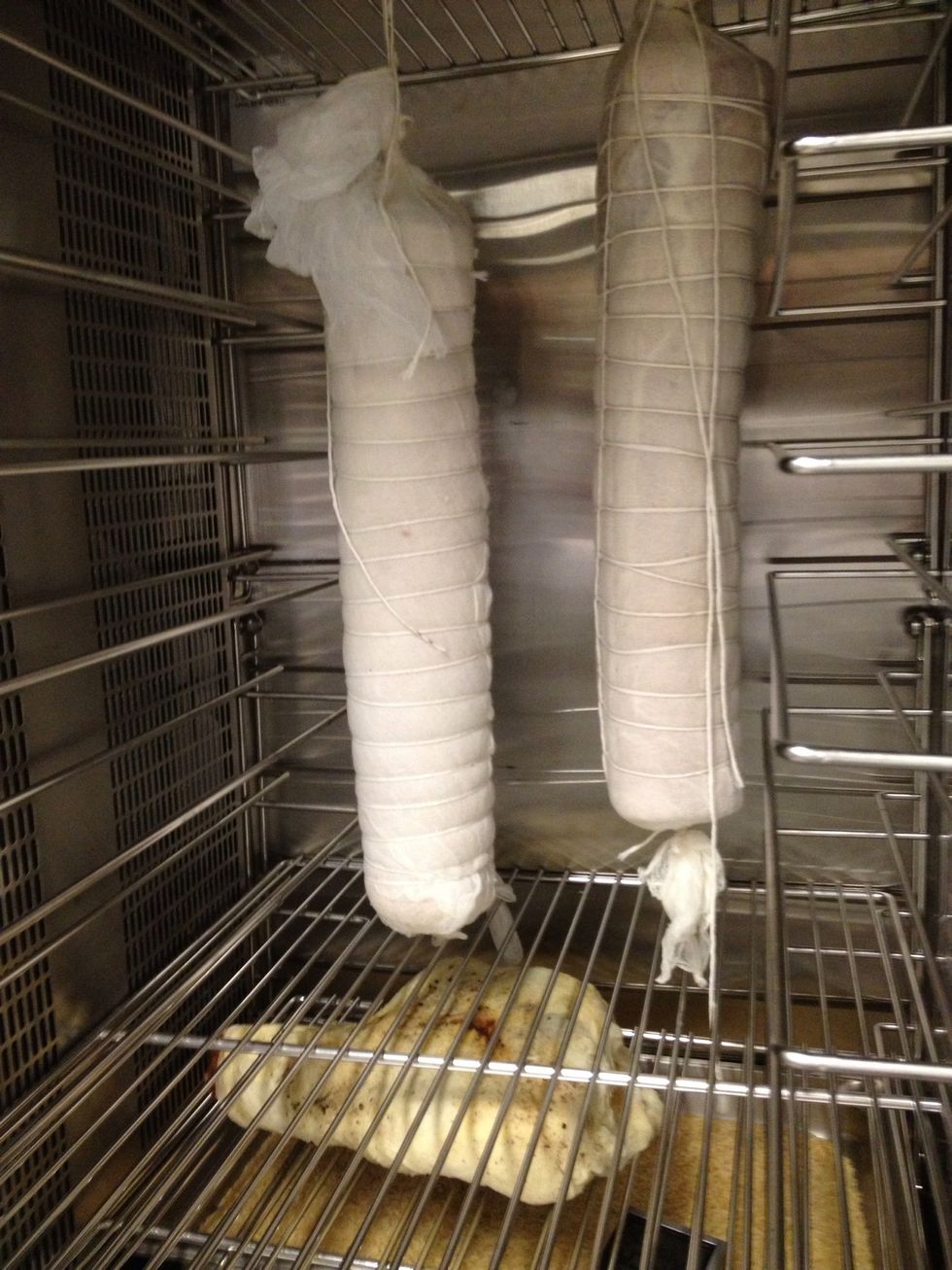 Hang in your cureing cabinet. We use our QC 40 set at 60F (15C) and let cure for about 1 - 2 weeks.