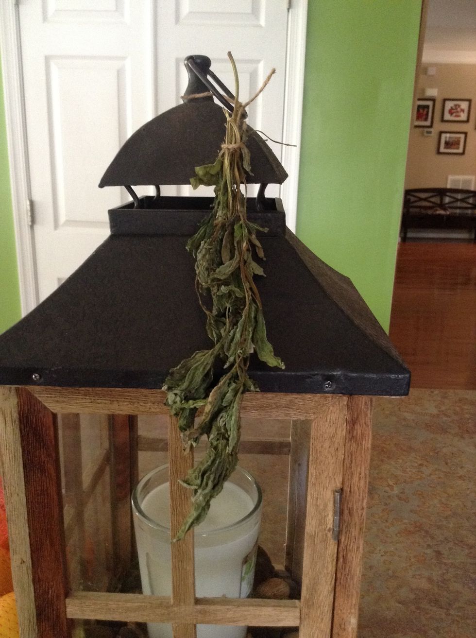 Hang upside down using your string to tie it on something to dry.