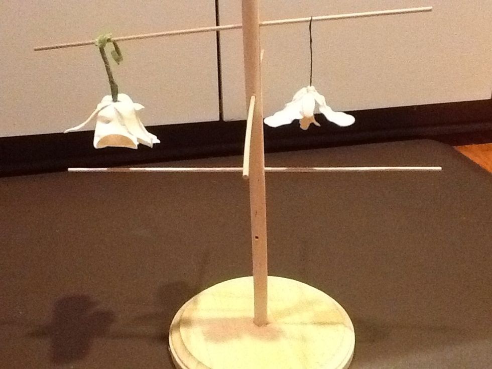 Hang your gumpaste/fondant flowers safely..adjust arms to fit without bumping each other. Sorry about the ugly flowers, my first orchid attempt. This rack is great for roses.