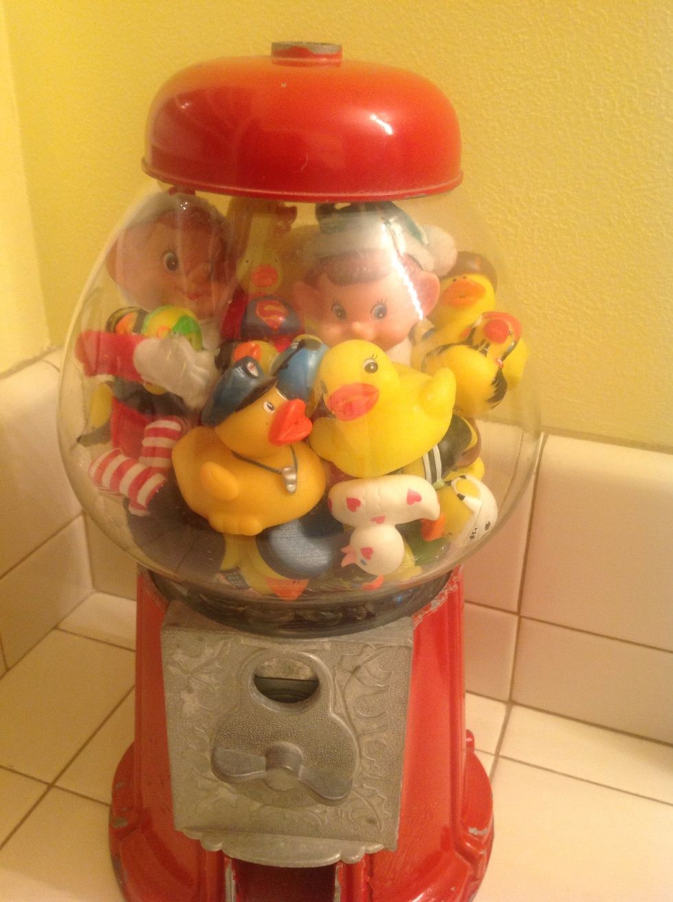 Hanging with the ducks....