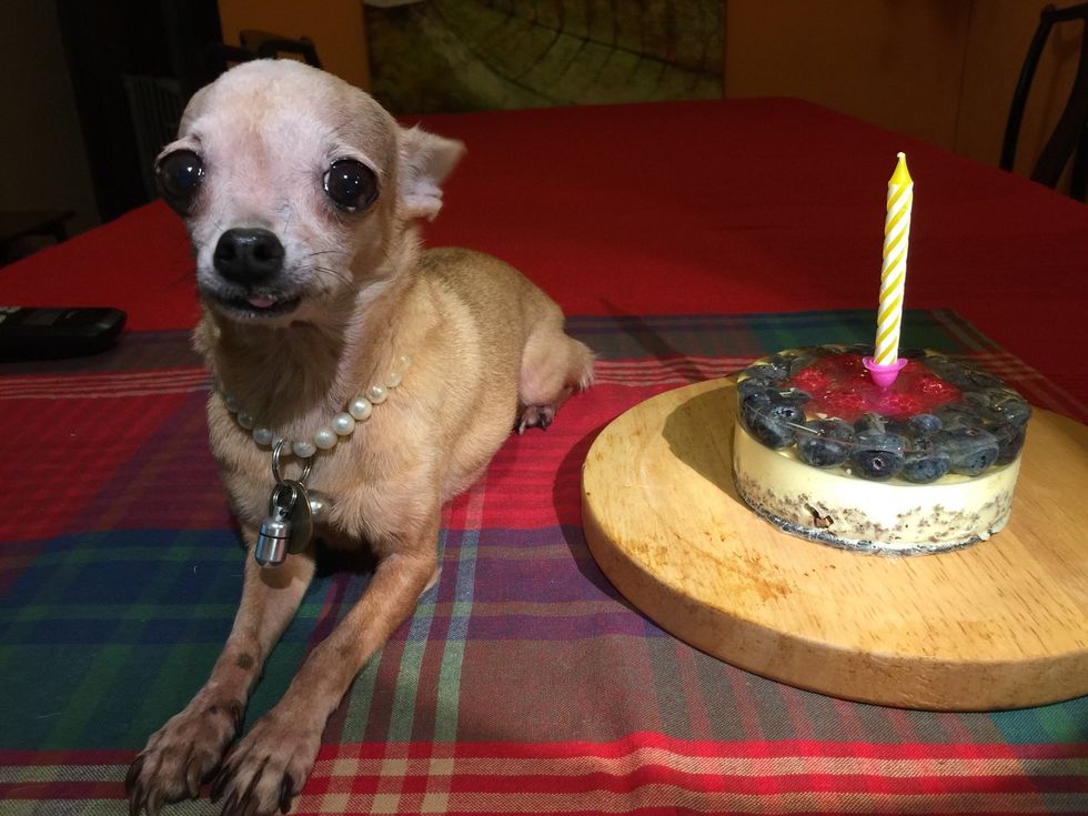 Happy Birthday!