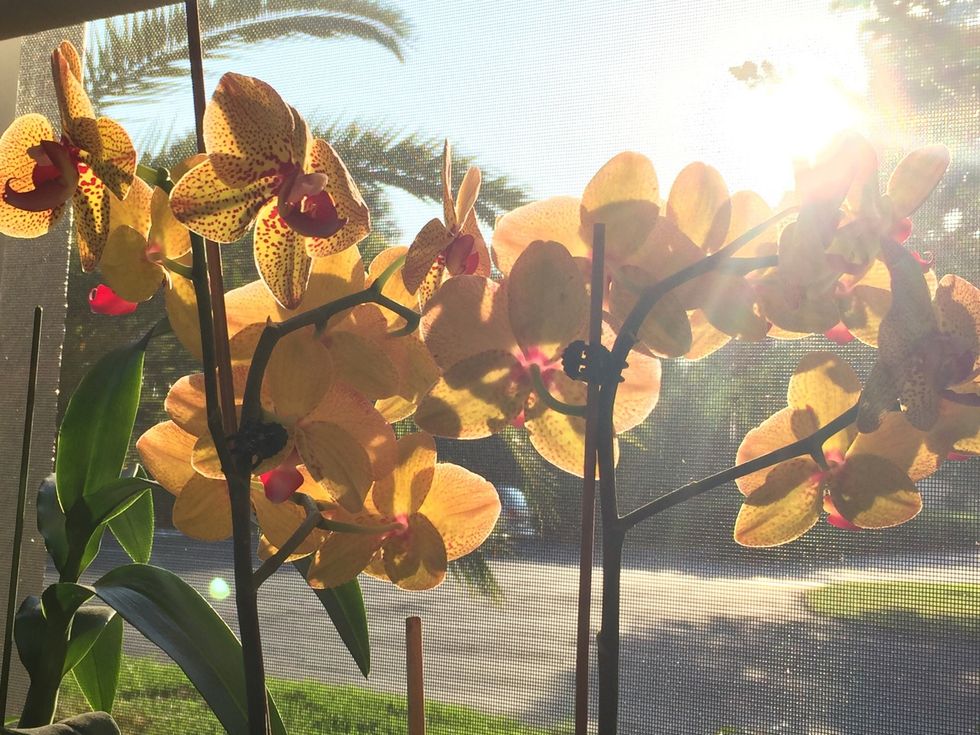 Happy Mother's Day! \ud83d\ude18