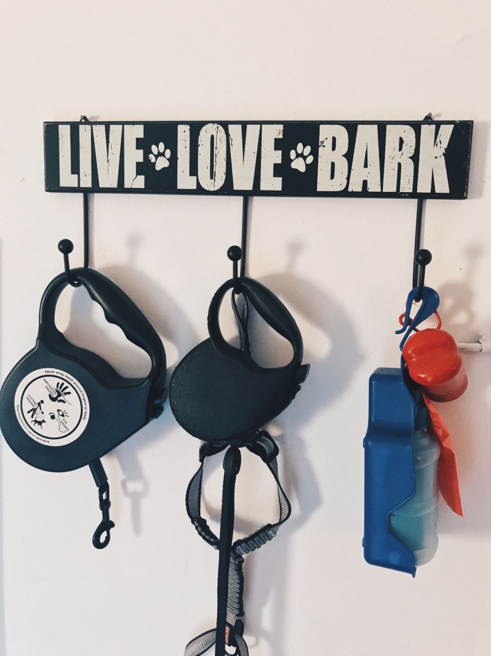 Have good leashes for when you walk your dogs! If you have a bad/old leash, it may not work as well and your dog could run lose!