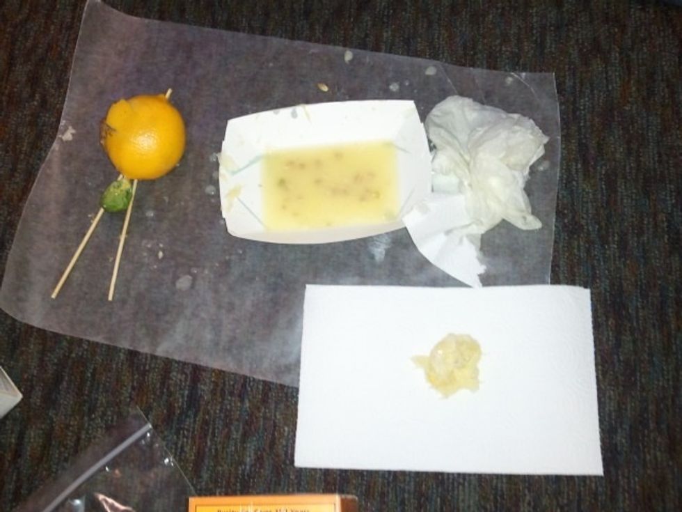 Have students roll internal organs in paper towel to remove any remaining liquid.  When done, place on a clean paper towel folded in half.  Students are now ready for natron.